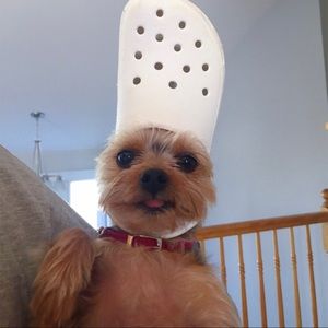 Meet your Posher, Krystal